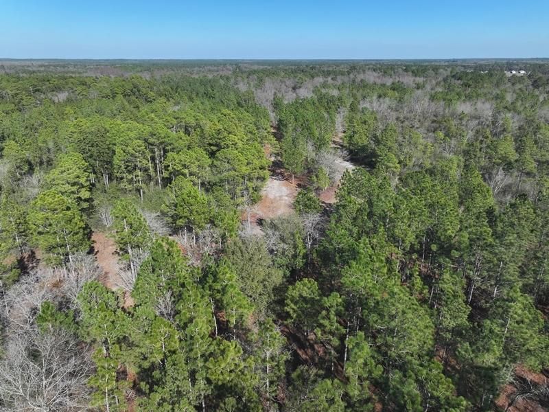 Harrells, Sampson County, NC Recreational Property, Undeveloped Land