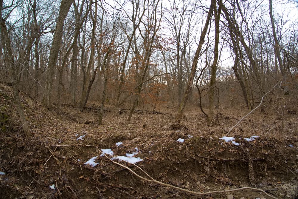 Kirksville, Adair County, MO Farms and Ranches, Recreational Property