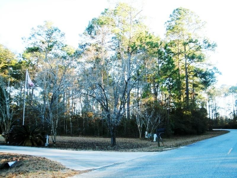 Chula, Tift County, GA Homesites for sale Property ID 418823445