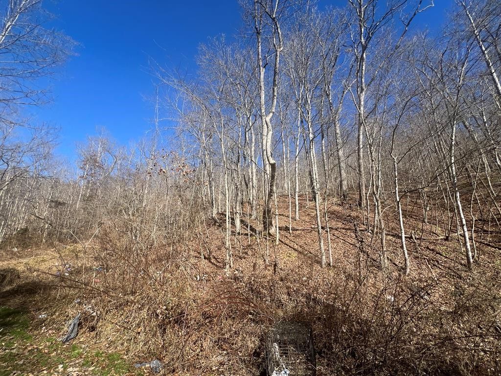 Louisa, Lawrence County, KY House for sale Property ID 418825474