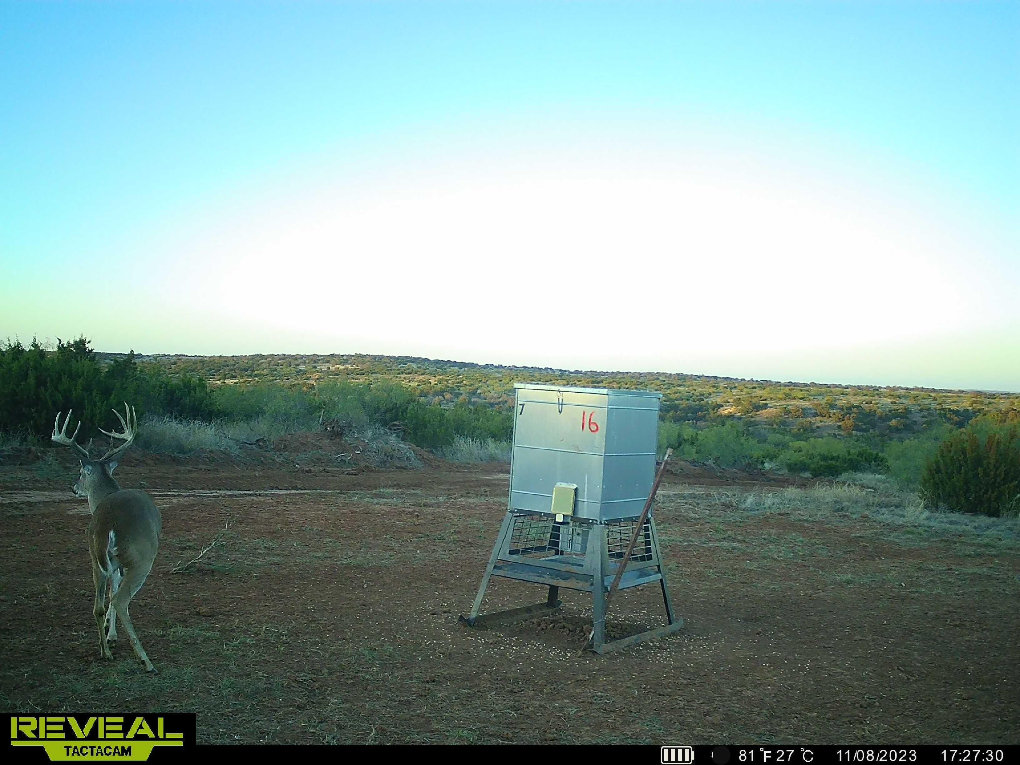Roaring Springs, Motley County, TX Farms and Ranches, Recreational