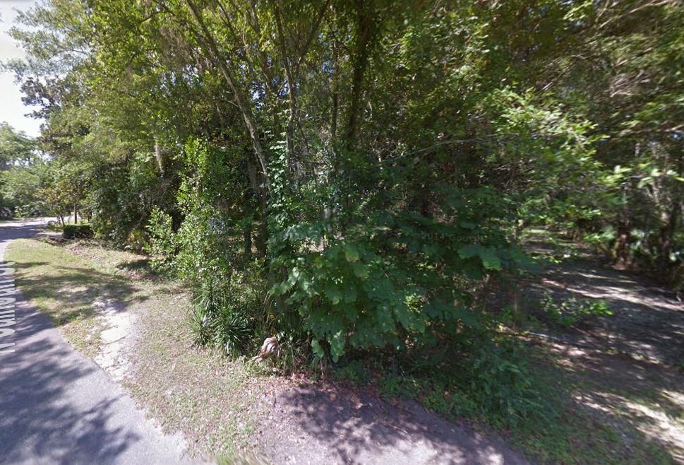 Perry, Taylor County, FL Recreational Property, Undeveloped Land