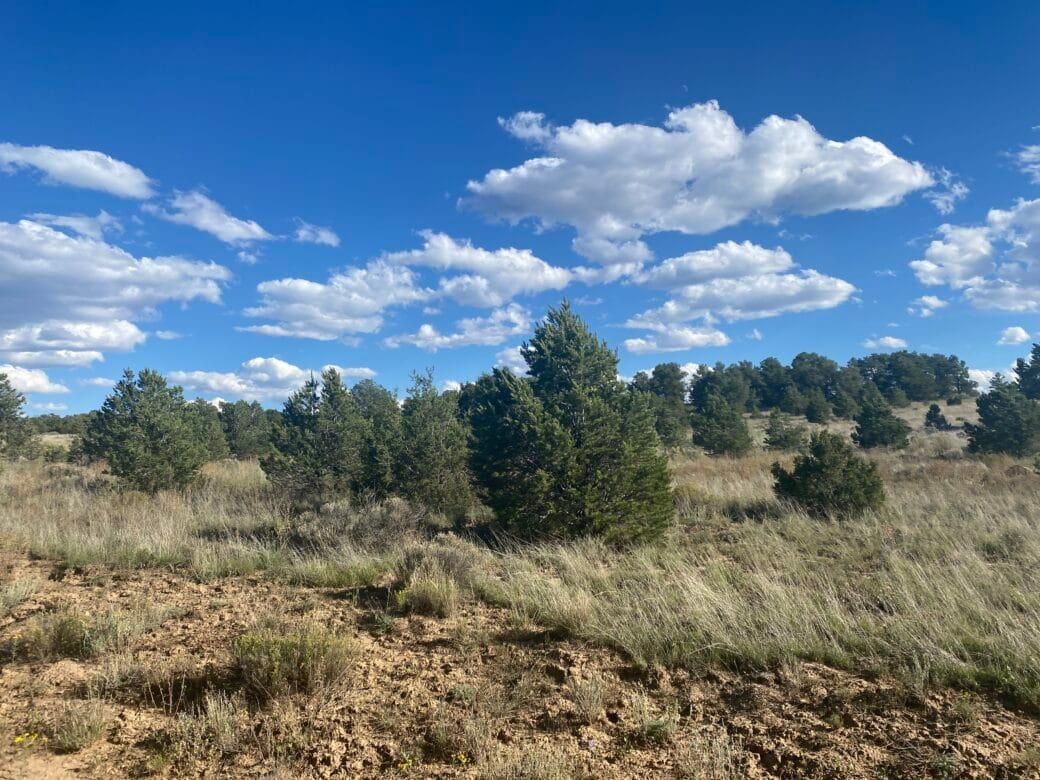 Ramah, Cibola County, NM Recreational Property, Homesites for sale