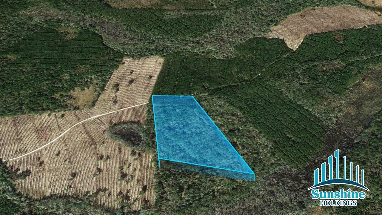 White Oak, Camden County, GA Recreational Property, Undeveloped Land for sale Property ID