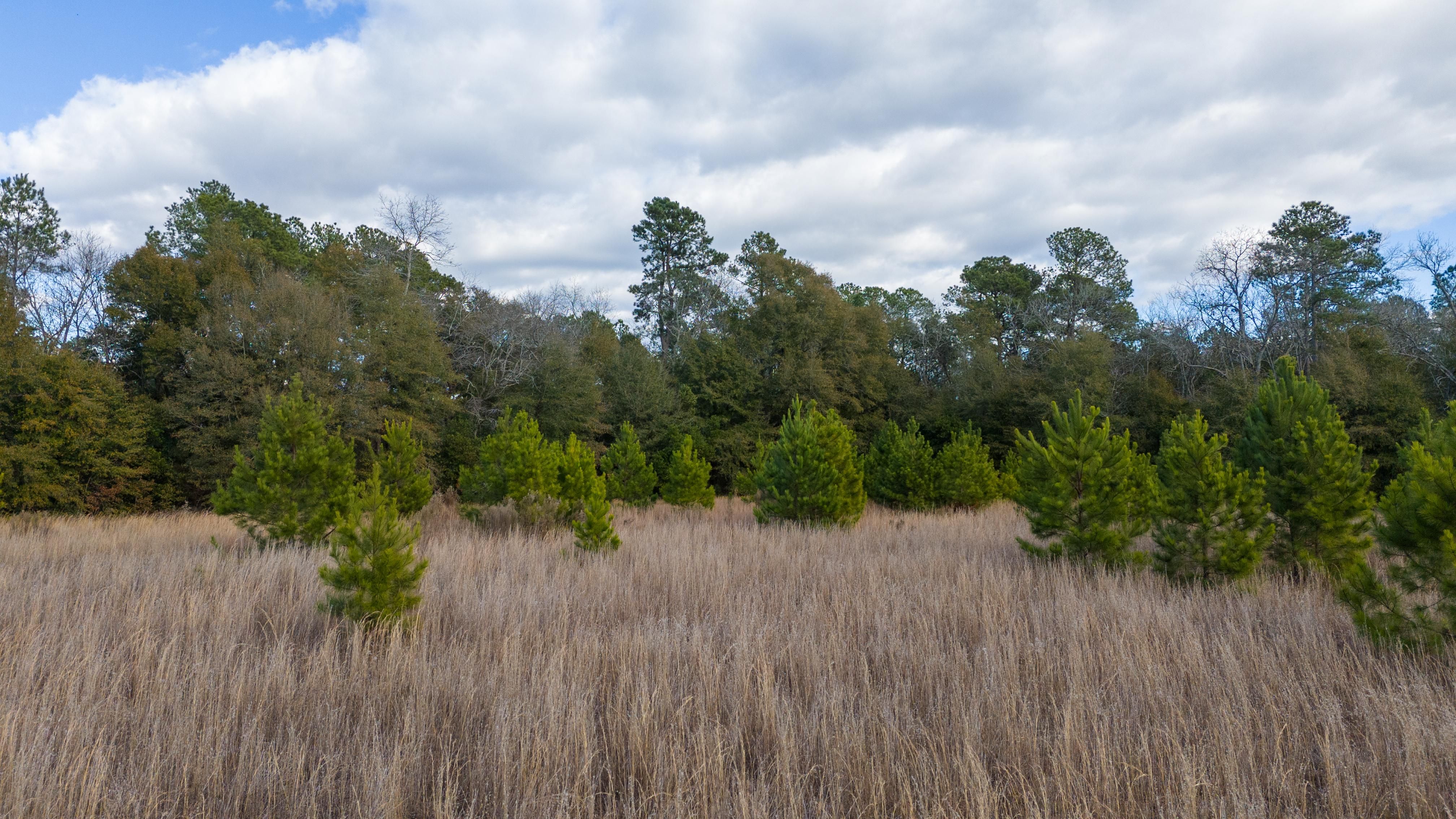 2296 Windsor Rd, Springfield, SC 29146 | LandWatch