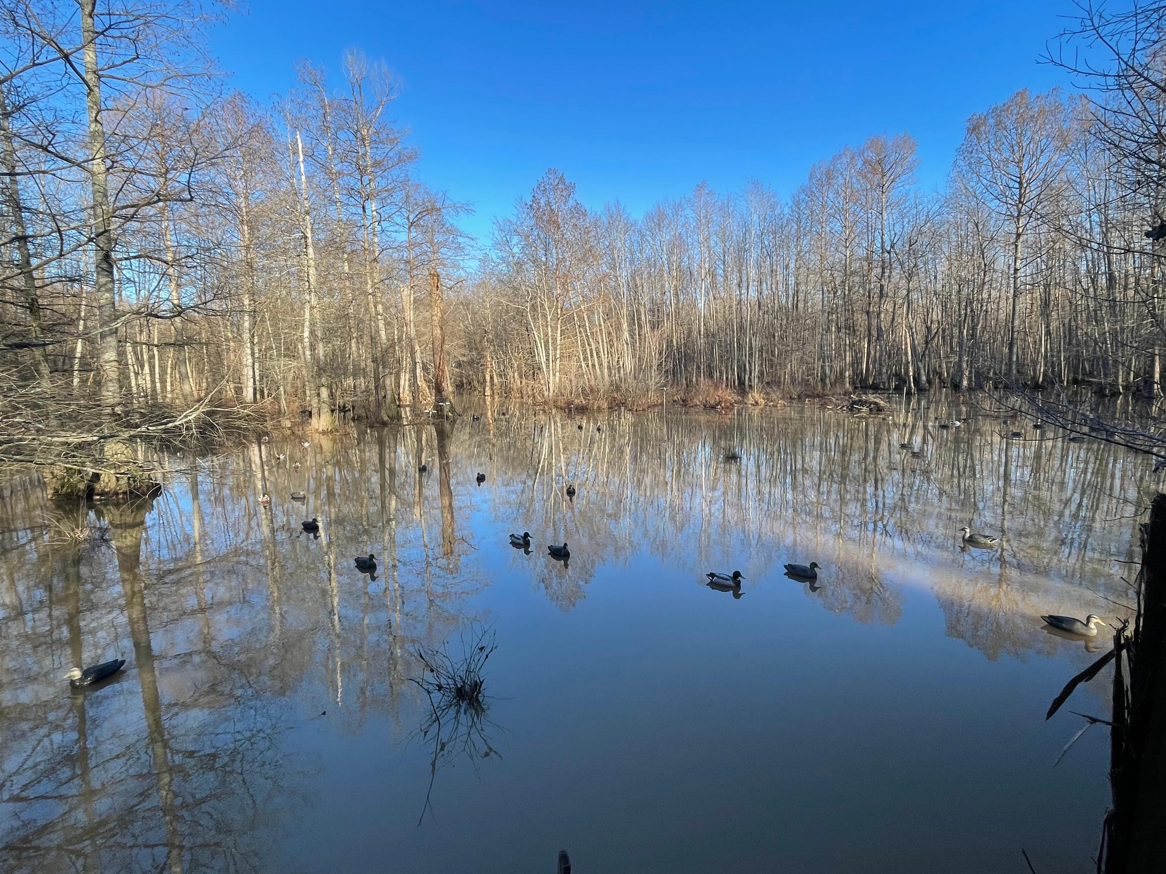 Ed Woods Road, Bells, TN 38006 MLS 10165163 LandWatch