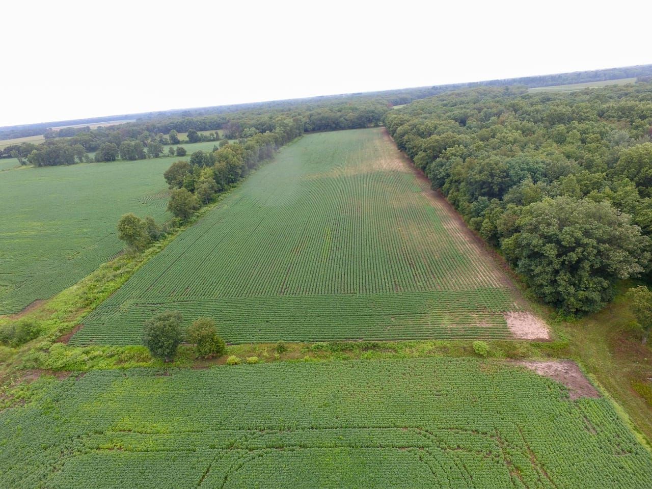 Medaryville, Pulaski County, IN Farms and Ranches, Recreational Property, Undeveloped Land for