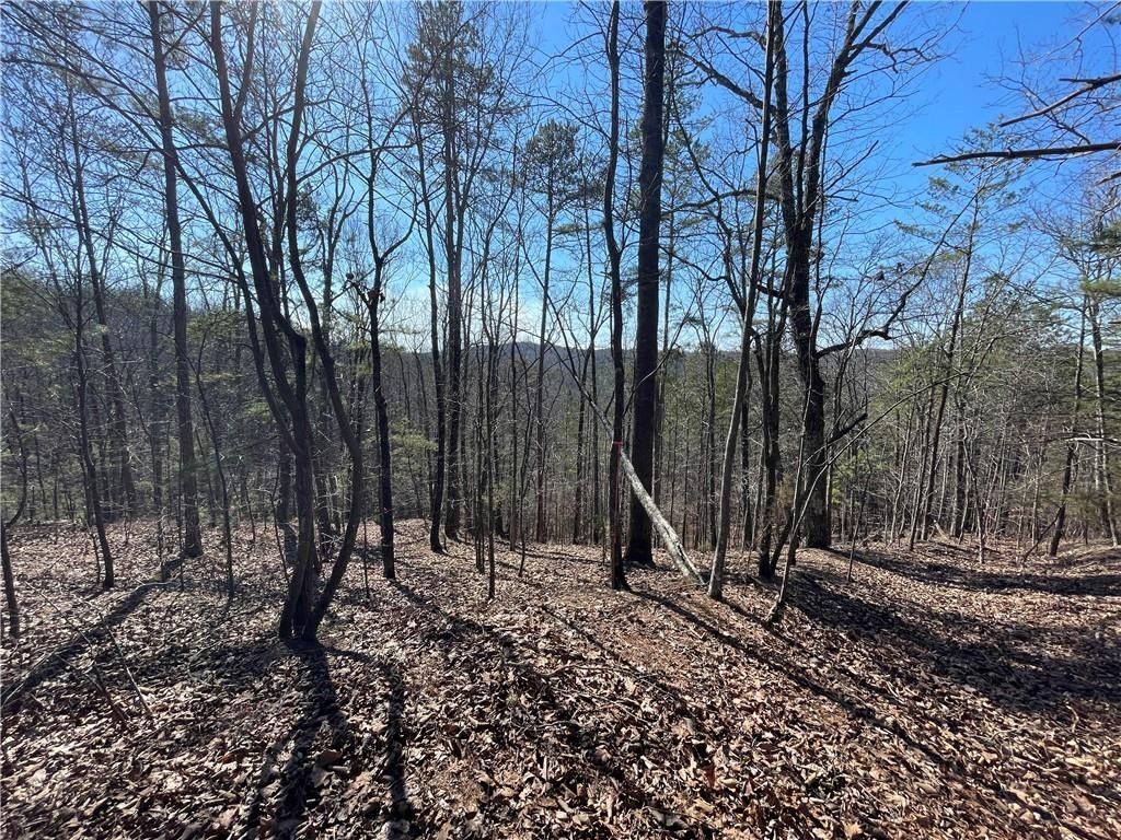 Ranger, Gordon County, GA Undeveloped Land for sale Property ID