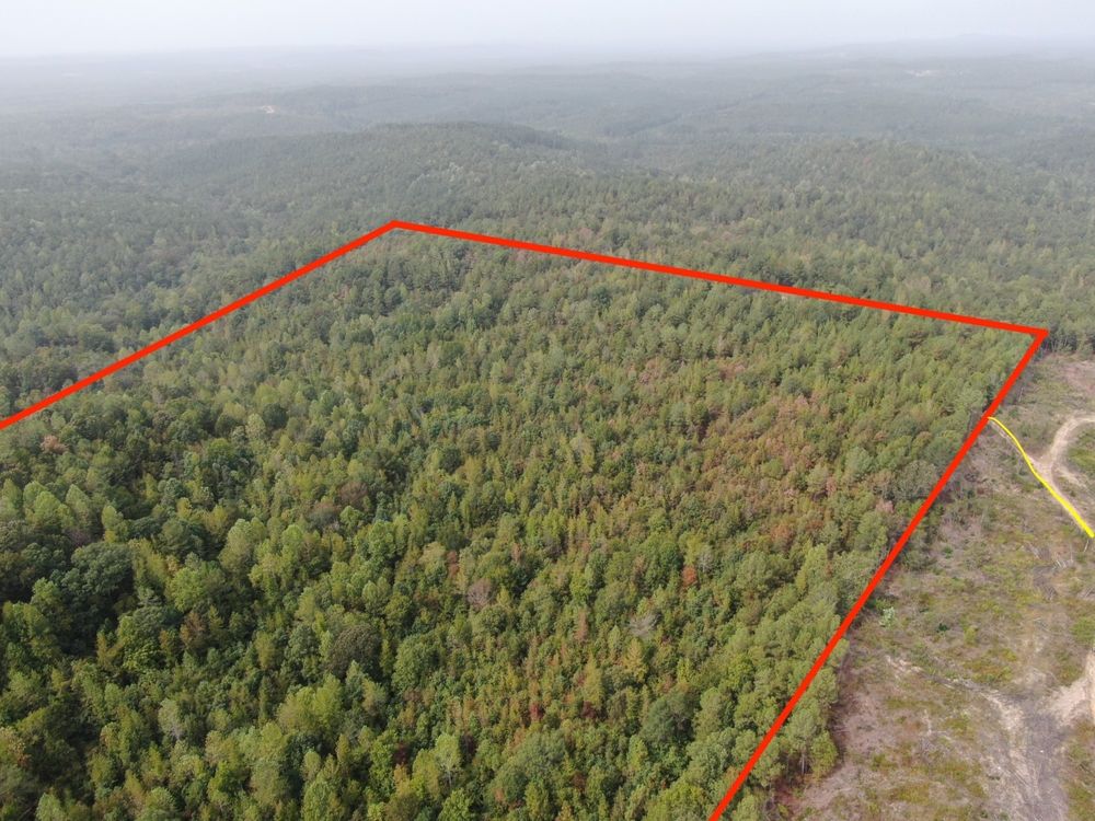 Buhl, Tuscaloosa County, AL Hunting Property for sale Property ID 418014915 LandWatch