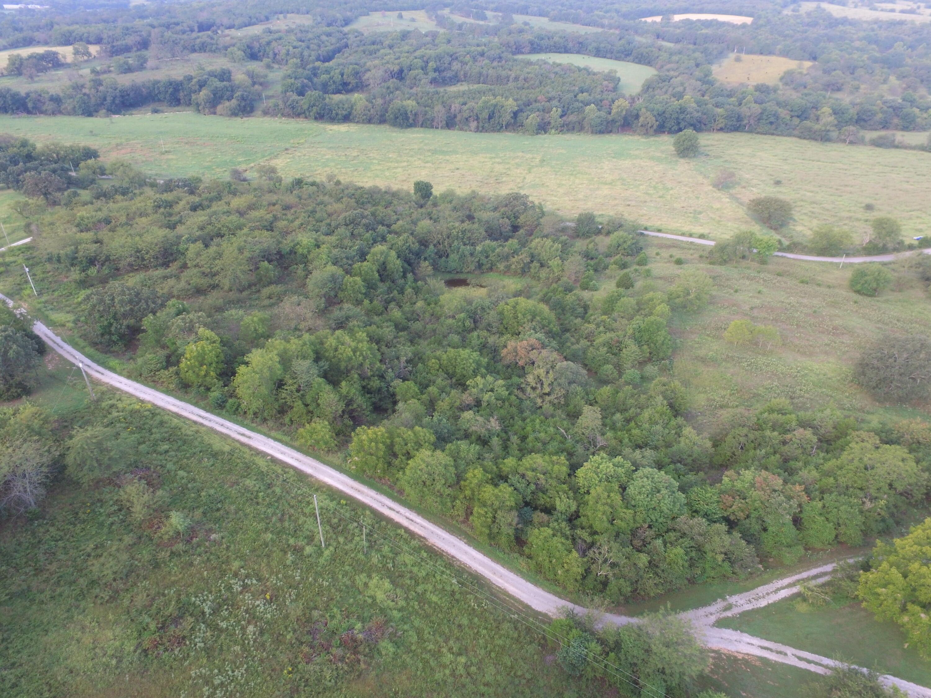 CR 425, Berryville, AR 72616 MLS 148533 LandWatch
