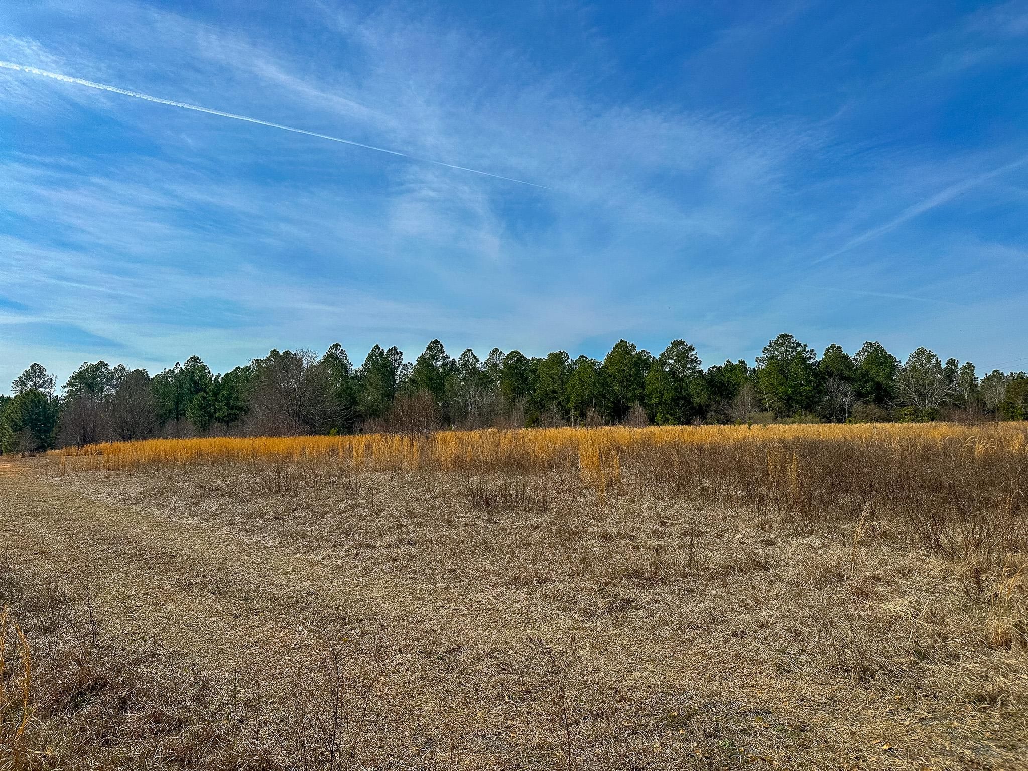 101 acres in Dawson, GA, 39842 LandWatch