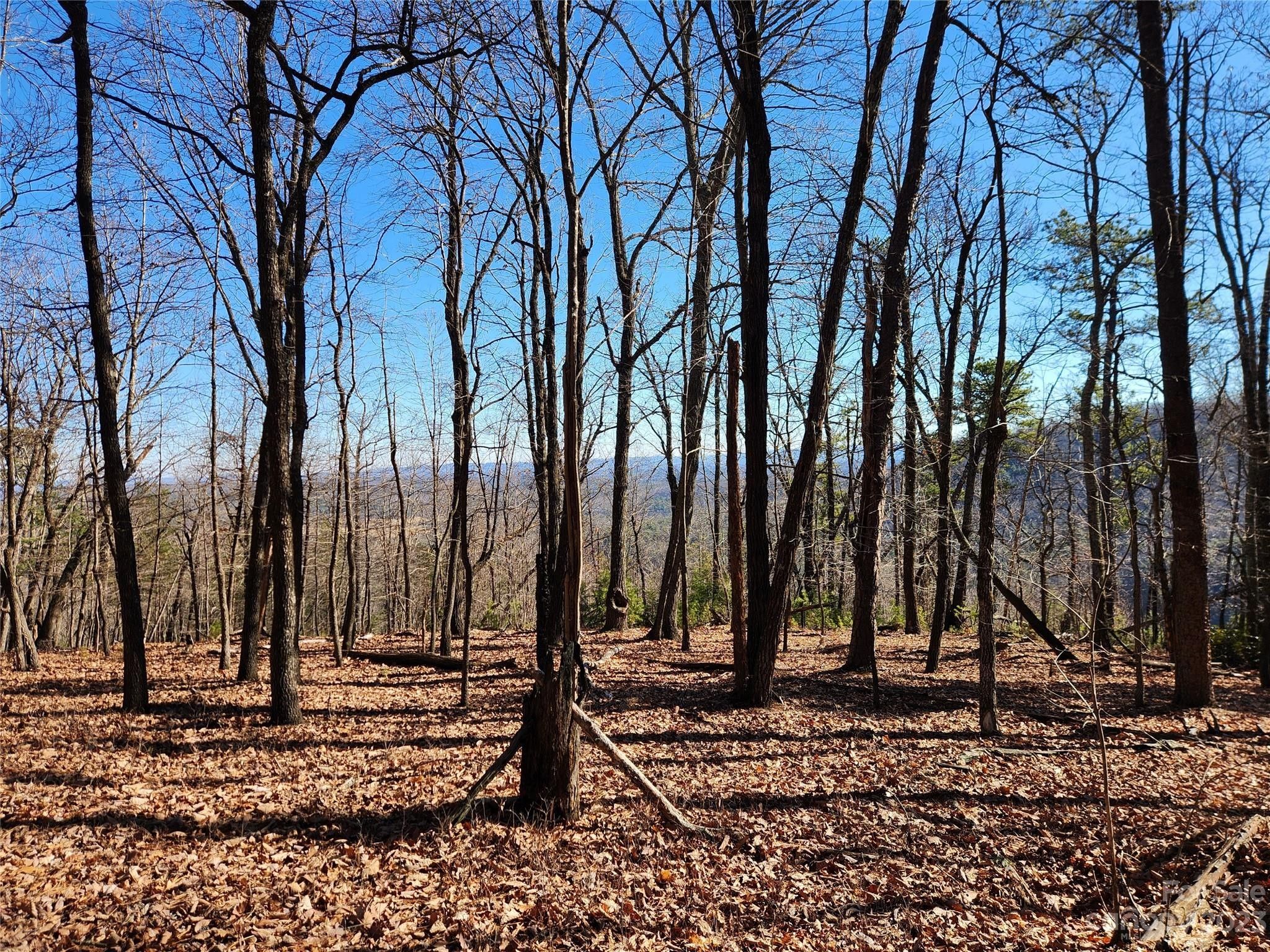 Millers Creek, Wilkes County, NC Undeveloped Land for sale Property ID