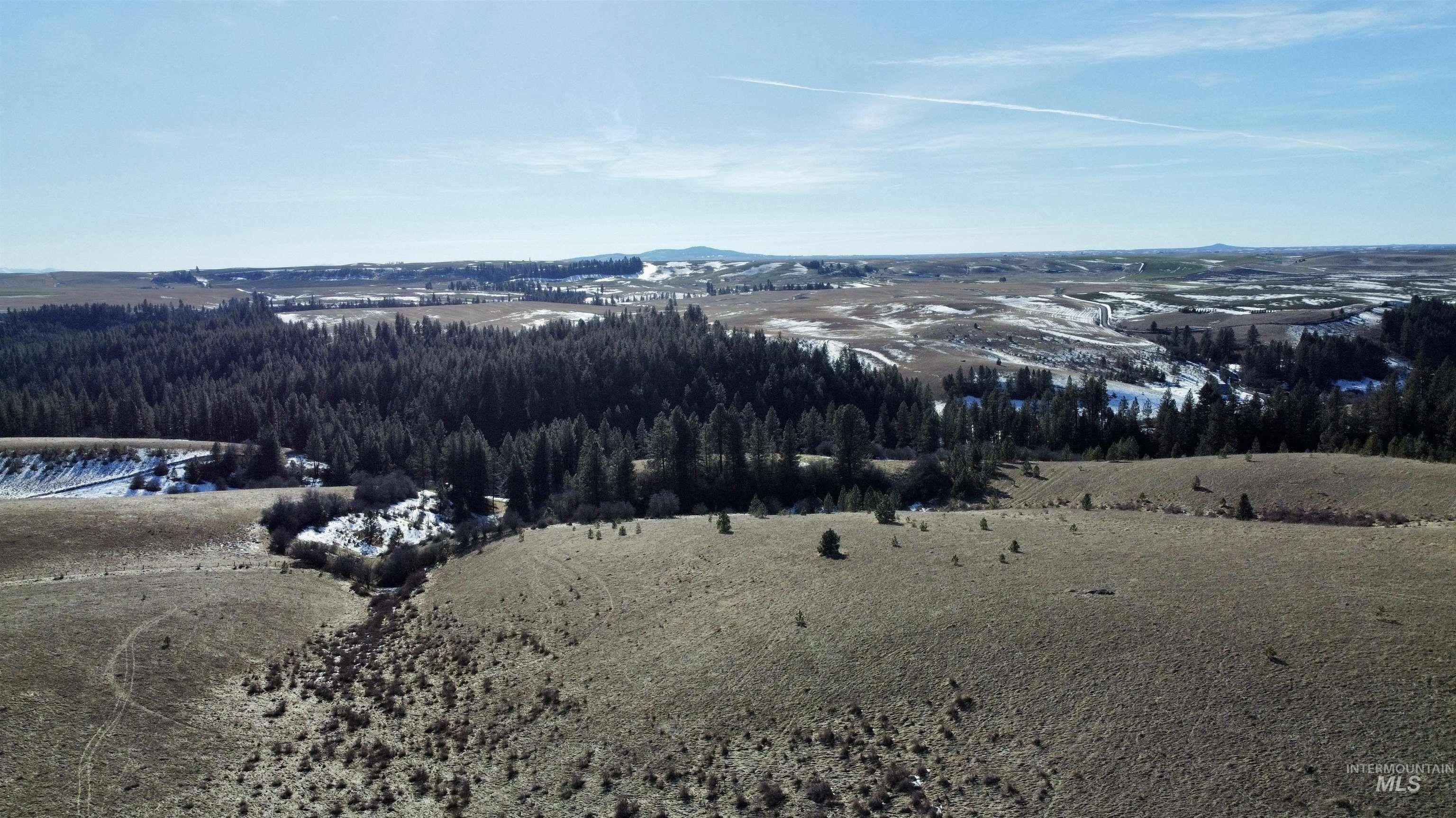 Nezperce, Lewis County, ID Undeveloped Land for sale Property ID