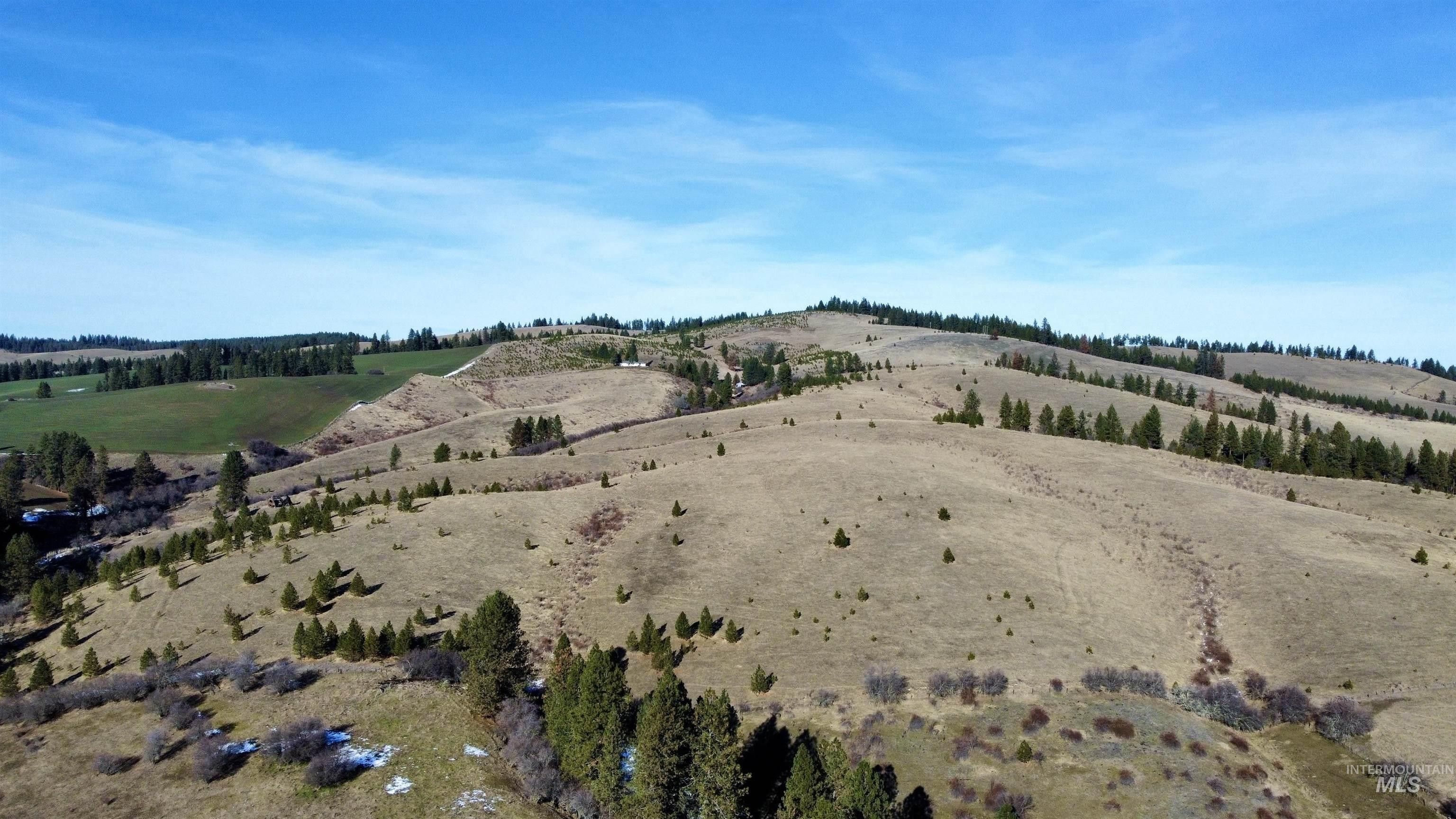 Nezperce, Lewis County, ID Undeveloped Land for sale Property ID