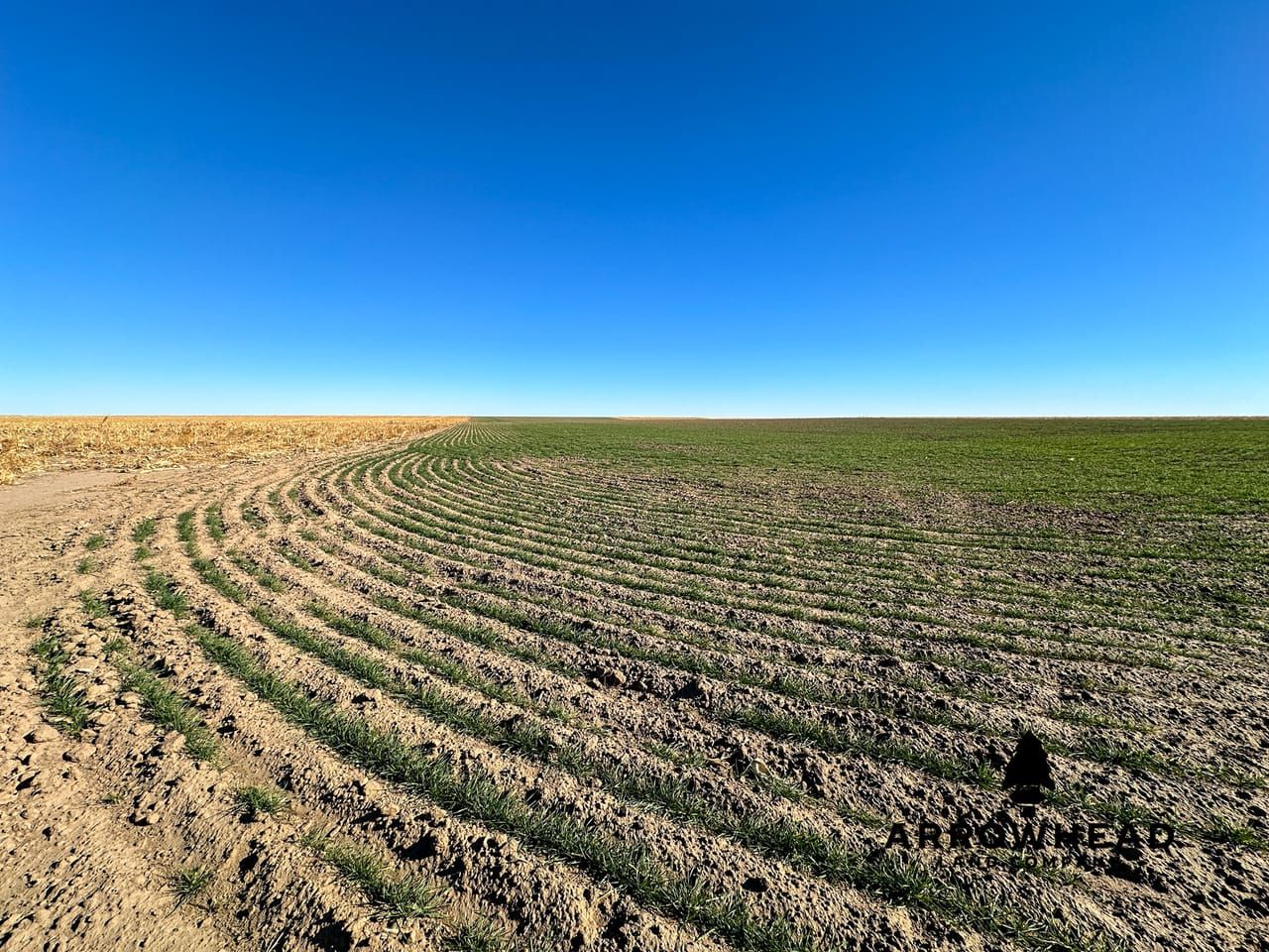 County Road 3 & L, Brewster, KS 67732 LandWatch