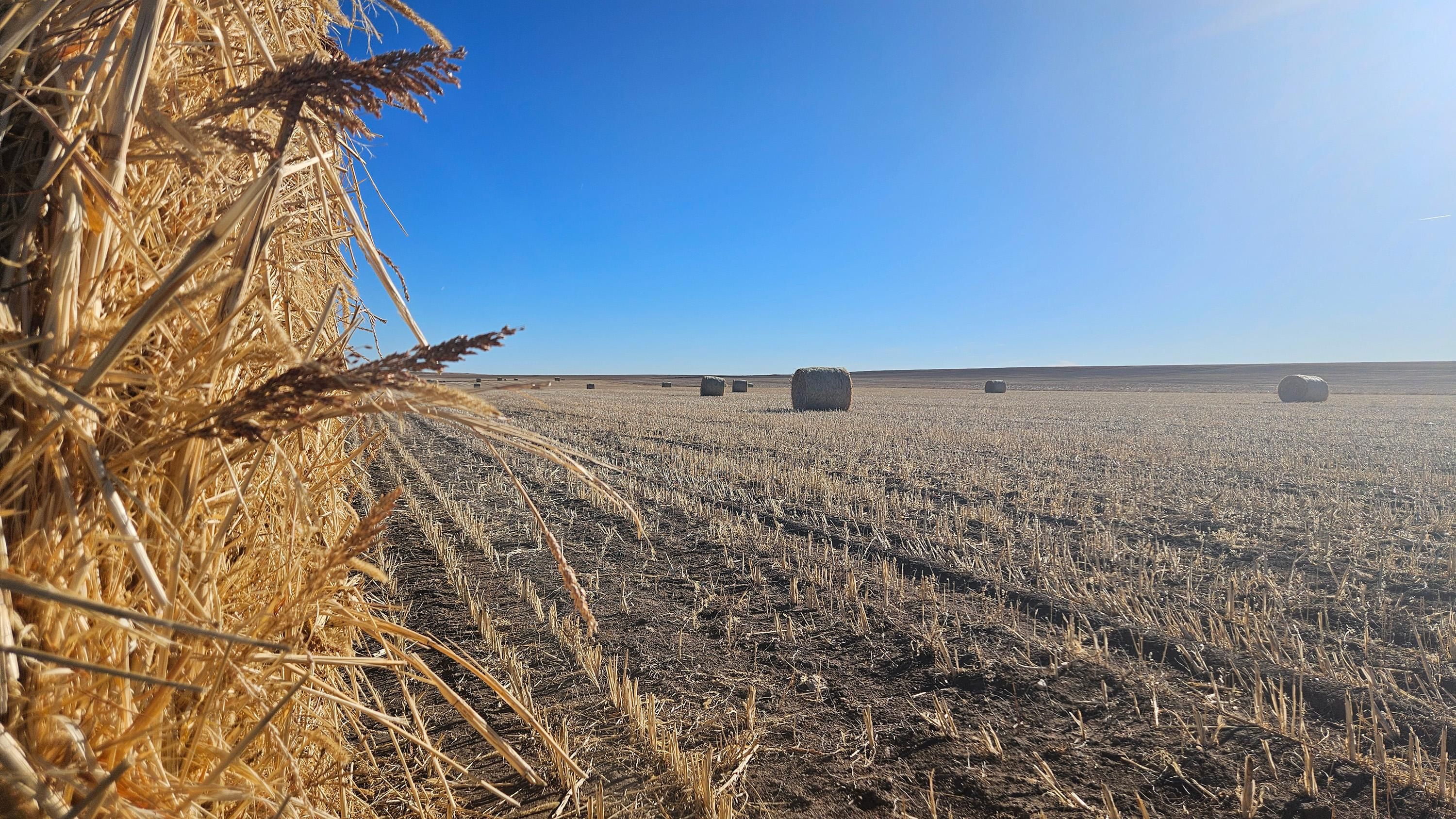 465 acres in Kimball, NE, 69145 MLS South Kimball 465 LandWatch