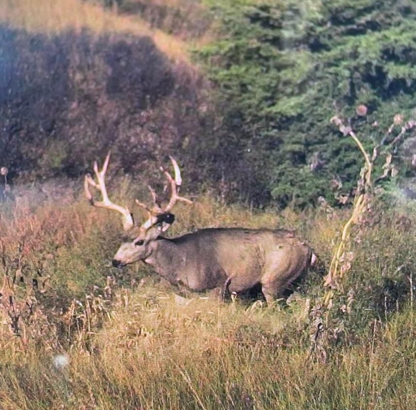 35943 Road 737, Hayes Center, NE 69032 MLS 33600 LandWatch