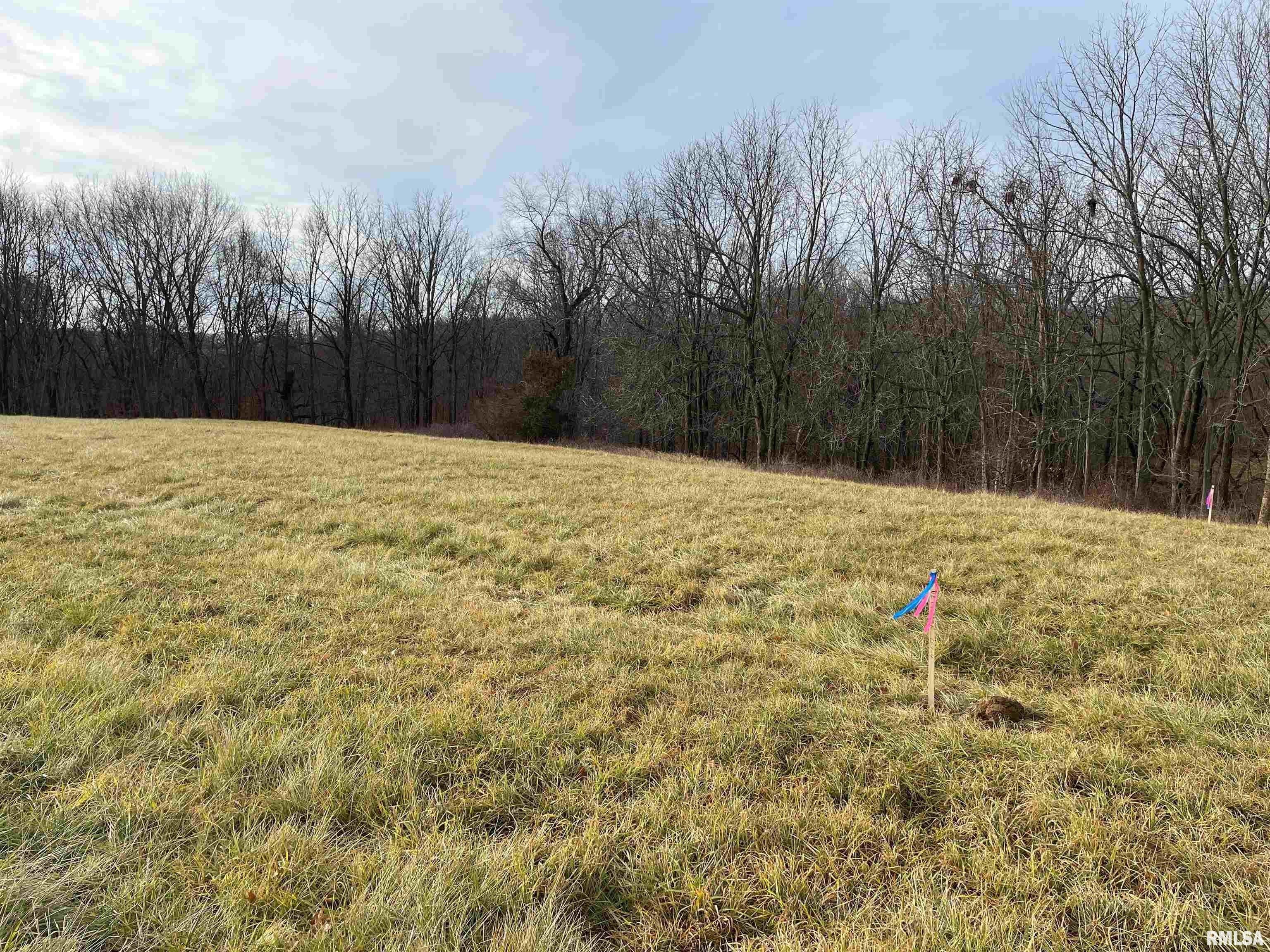 Canton, Jones County, IA Undeveloped Land, Homesites for sale Property ID 418830419 LandWatch