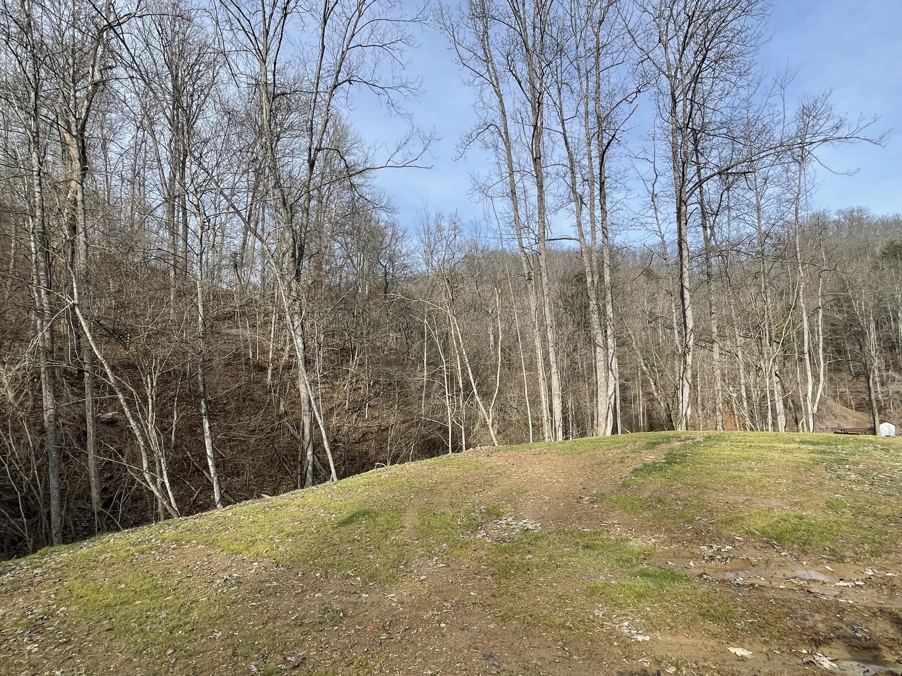 Booneville, Owsley County, KY Farms and Ranches for sale Property ID