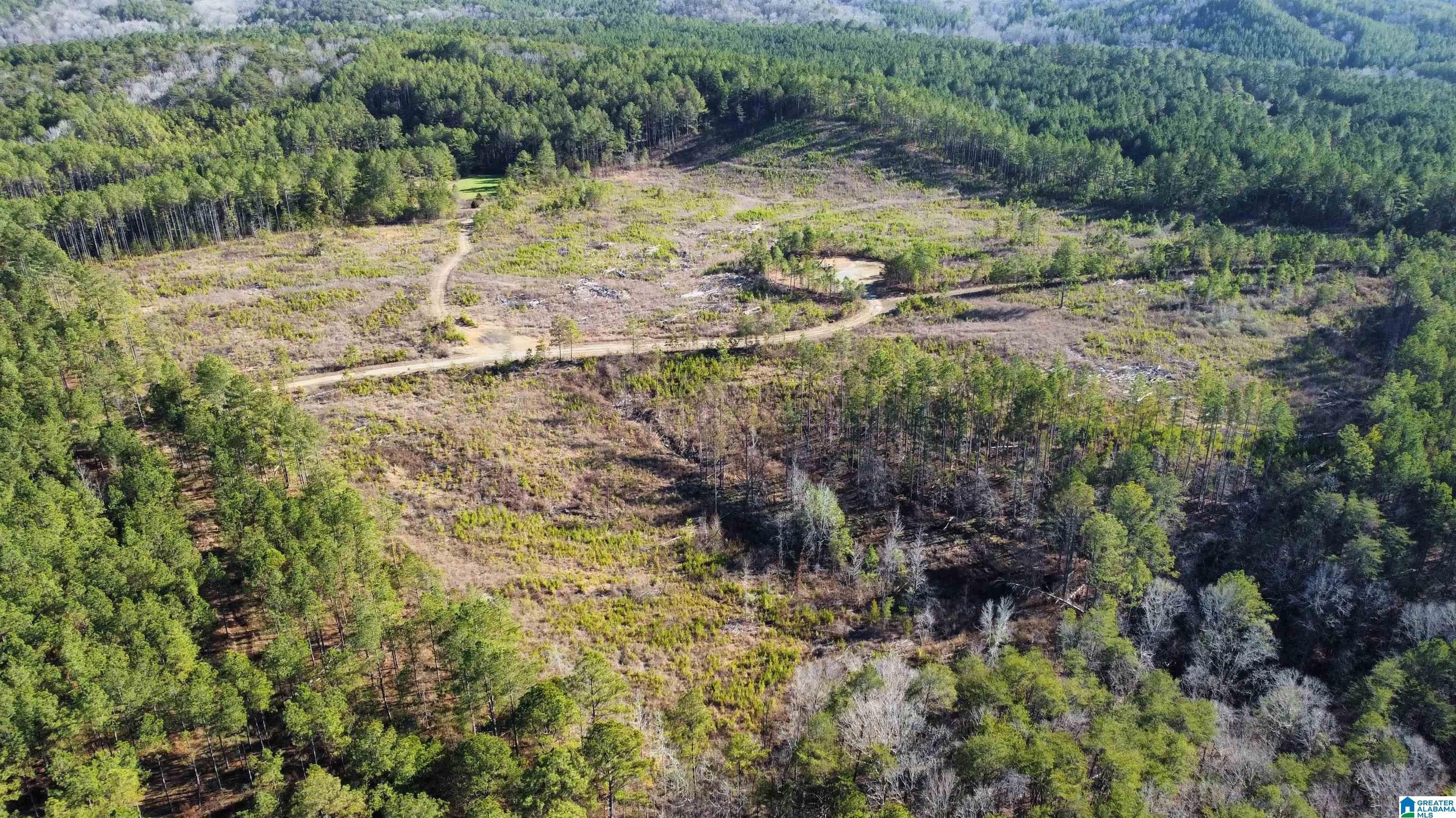 Berry, Tuscaloosa County, AL Undeveloped Land for sale Property ID 418830681 LandWatch