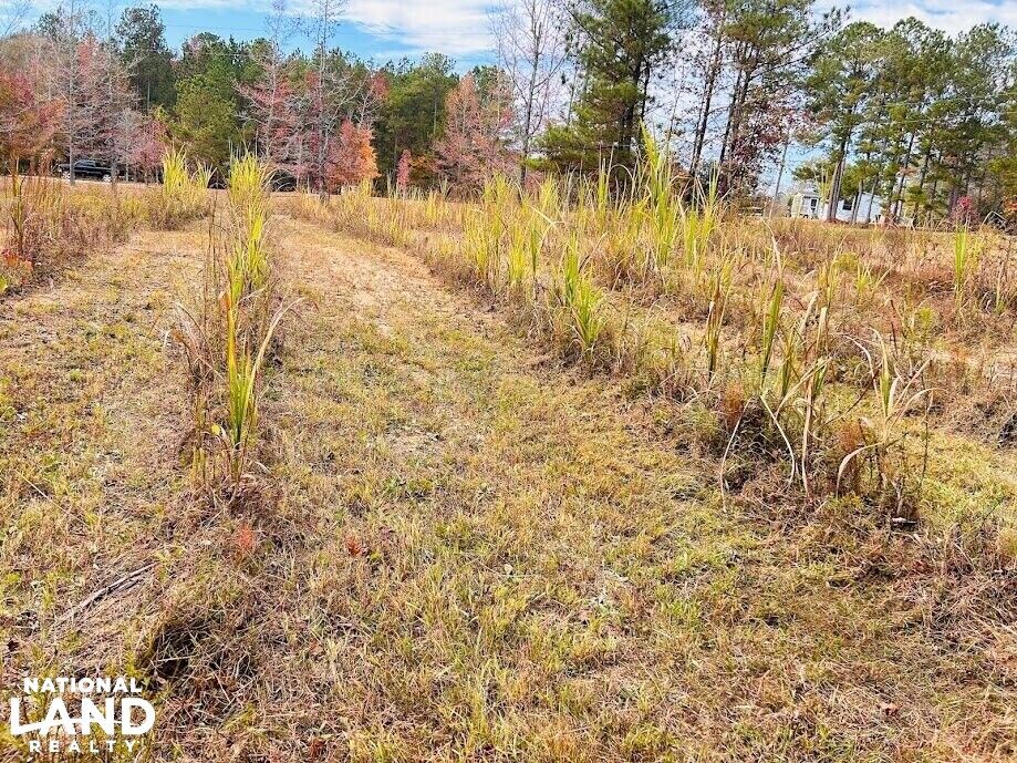 Roberta, Crawford County, GA Undeveloped Land, Hunting Property, Homesites for sale Property ID