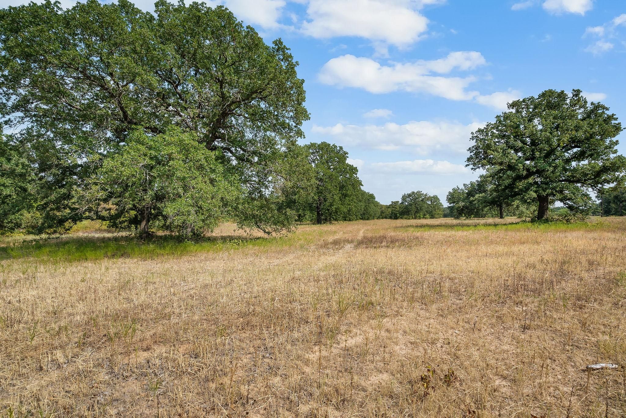 10 acres in Perrin, TX, 76486 MLS 20427404 LandWatch