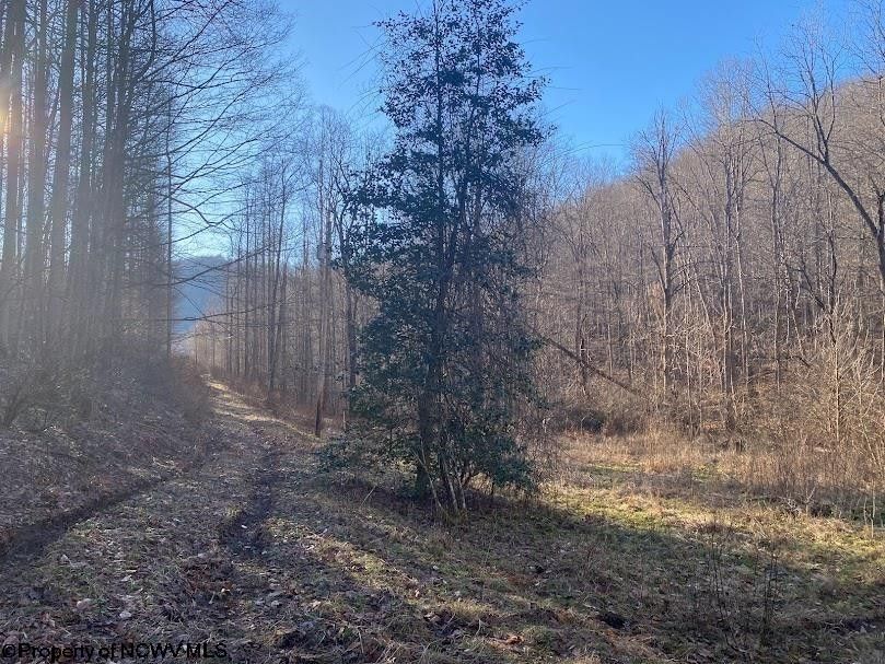 Ireland, Upshur County, WV Undeveloped Land, Homesites for sale