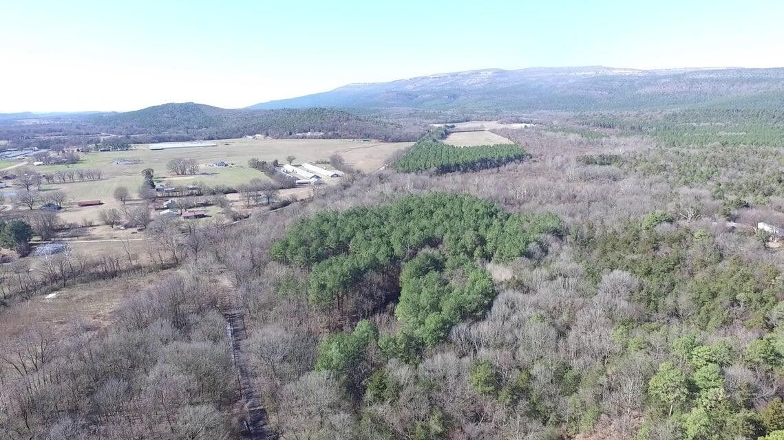 Havana, Yell County, AR Undeveloped Land for sale Property ID