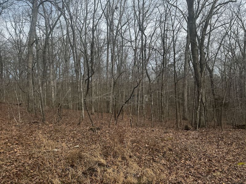 New Concord, Calloway County, KY Recreational Property, Undeveloped