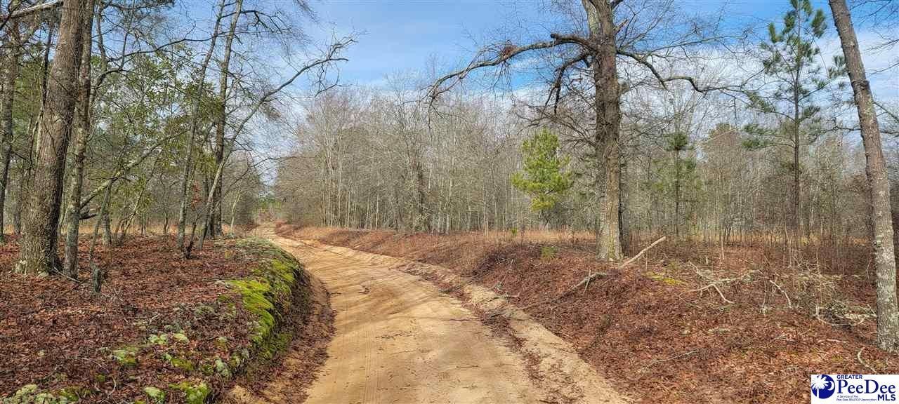 Marlboro County, SC Undeveloped Land for sale Property