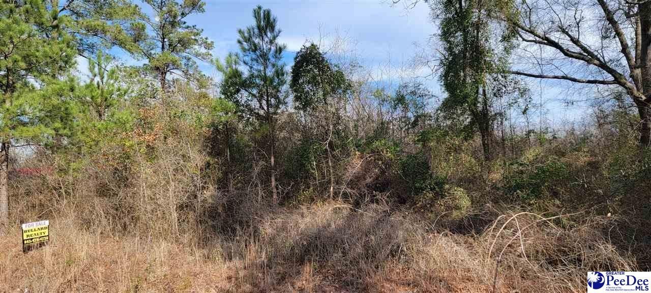 Marlboro County, SC Undeveloped Land for sale Property
