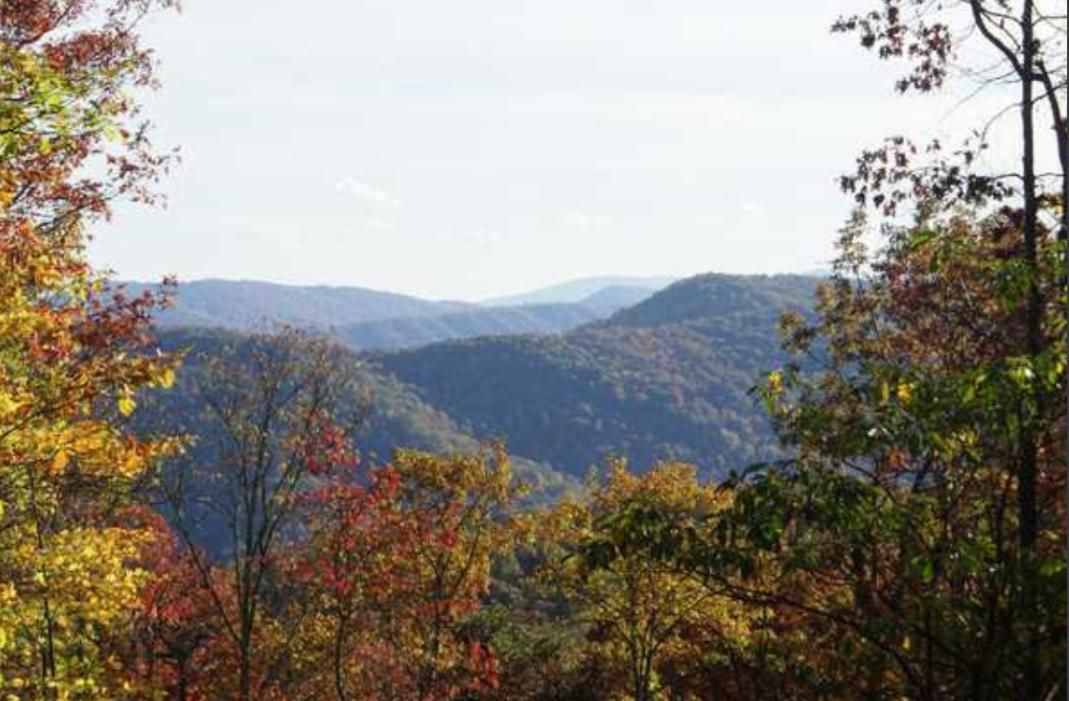 Tazewell, Tazewell County, VA Recreational Property, Hunting Property
