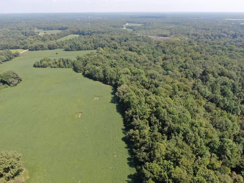 Arlington, Fayette County, TN Farms and Ranches, Undeveloped Land