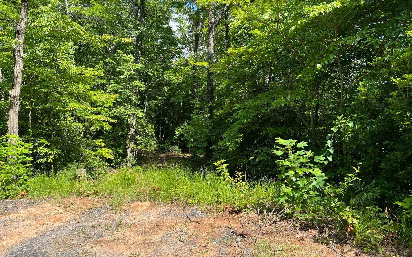 Turtletown, Polk County, TN Undeveloped Land for sale Property ID