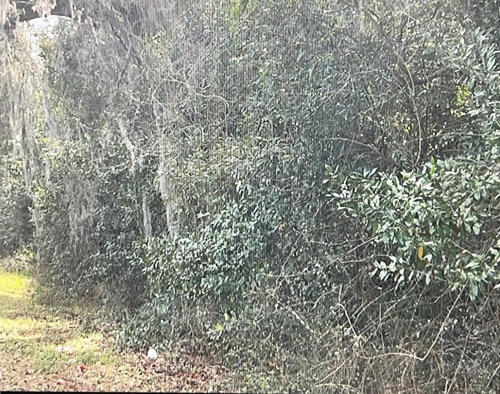Colquitt, Miller County, GA Undeveloped Land for sale Property ID