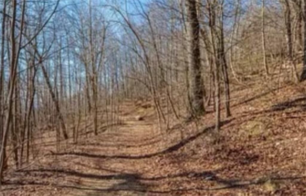 Wilderness Rd, Bland, VA 24315 MLS 92563 LandWatch