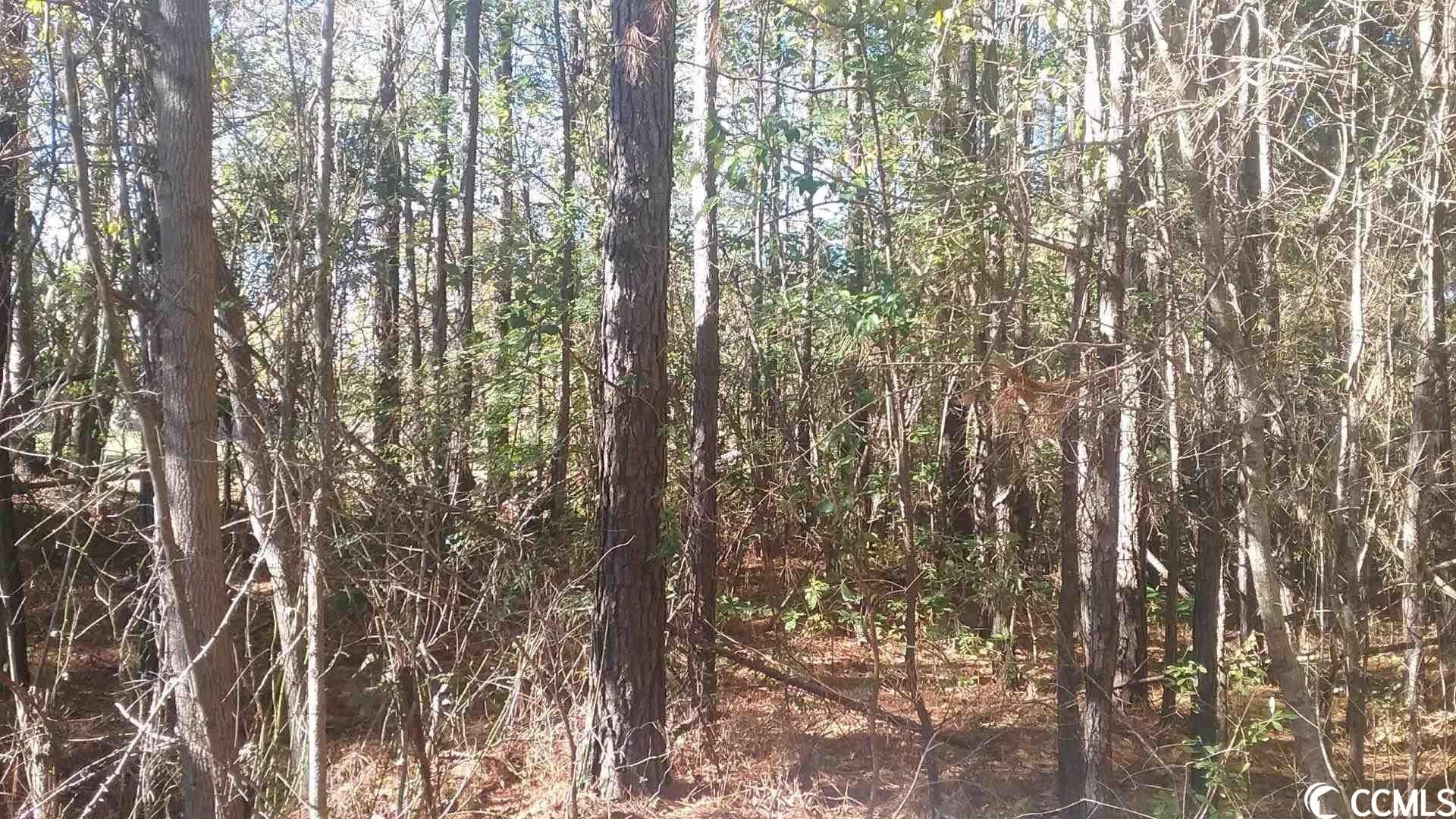 County, SC Undeveloped Land, Homesites for sale