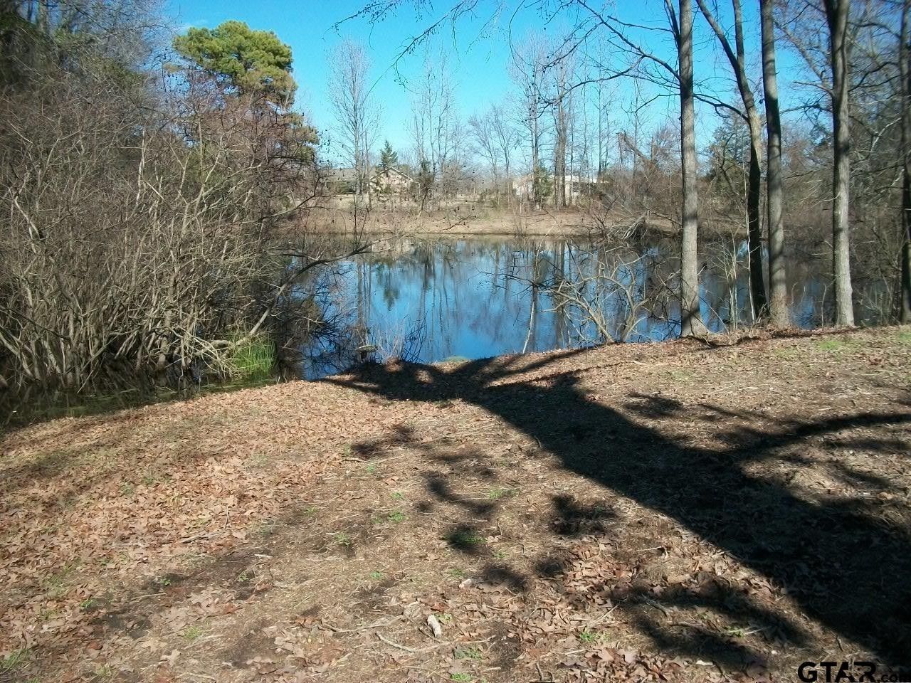 Mount Pleasant, Titus County, TX Farms and Ranches, House for sale