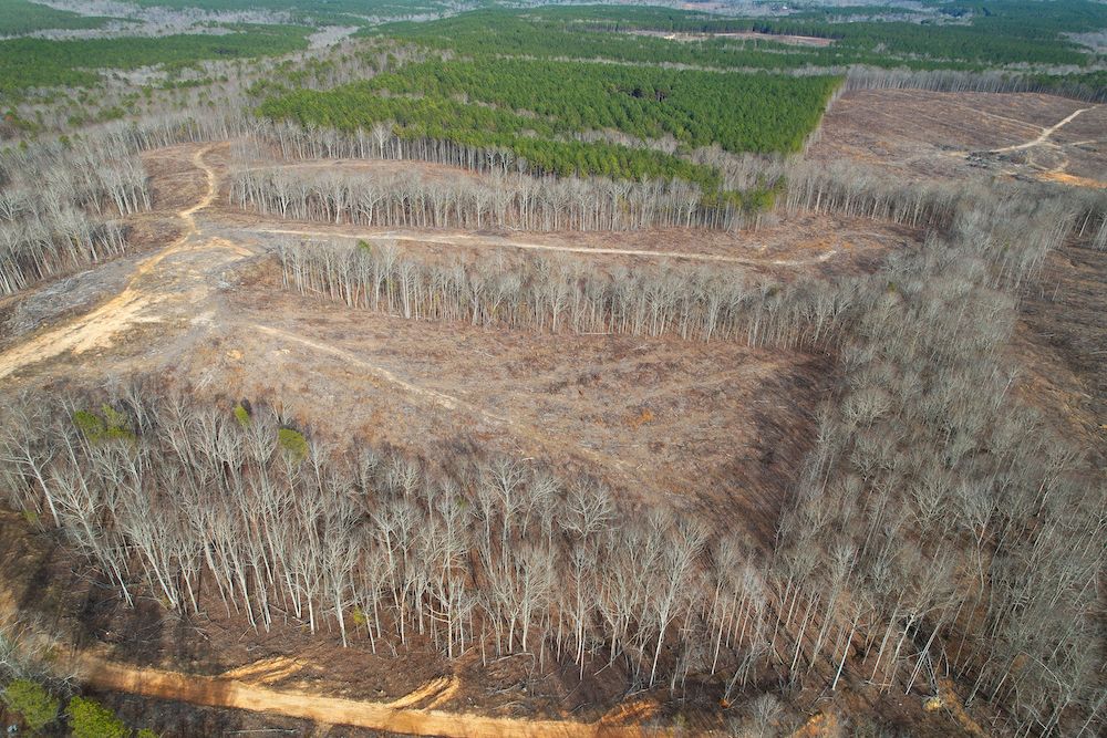 Buchanan, Haralson County, GA Farms and Ranches, Recreational Property