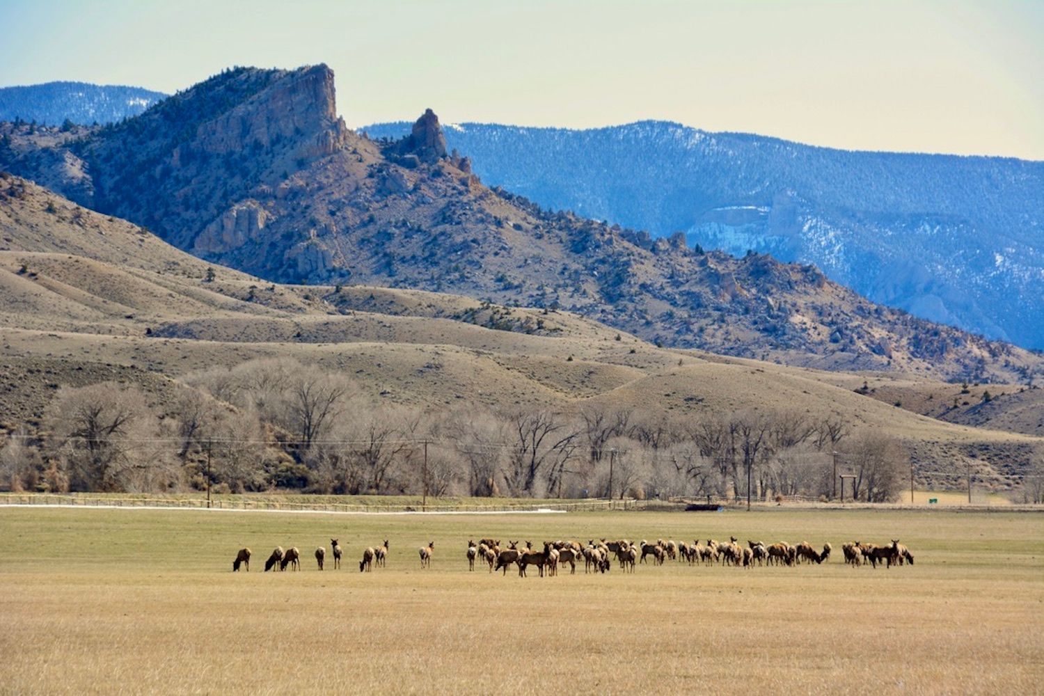 TBD North Fork Highway, LotWP001, Wapiti, WY 82450 LandWatch