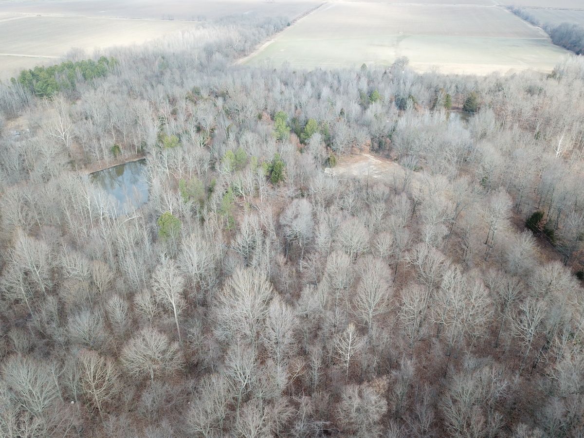 Hwy 62, LotWP001, Pollard, AR 72456 LandWatch