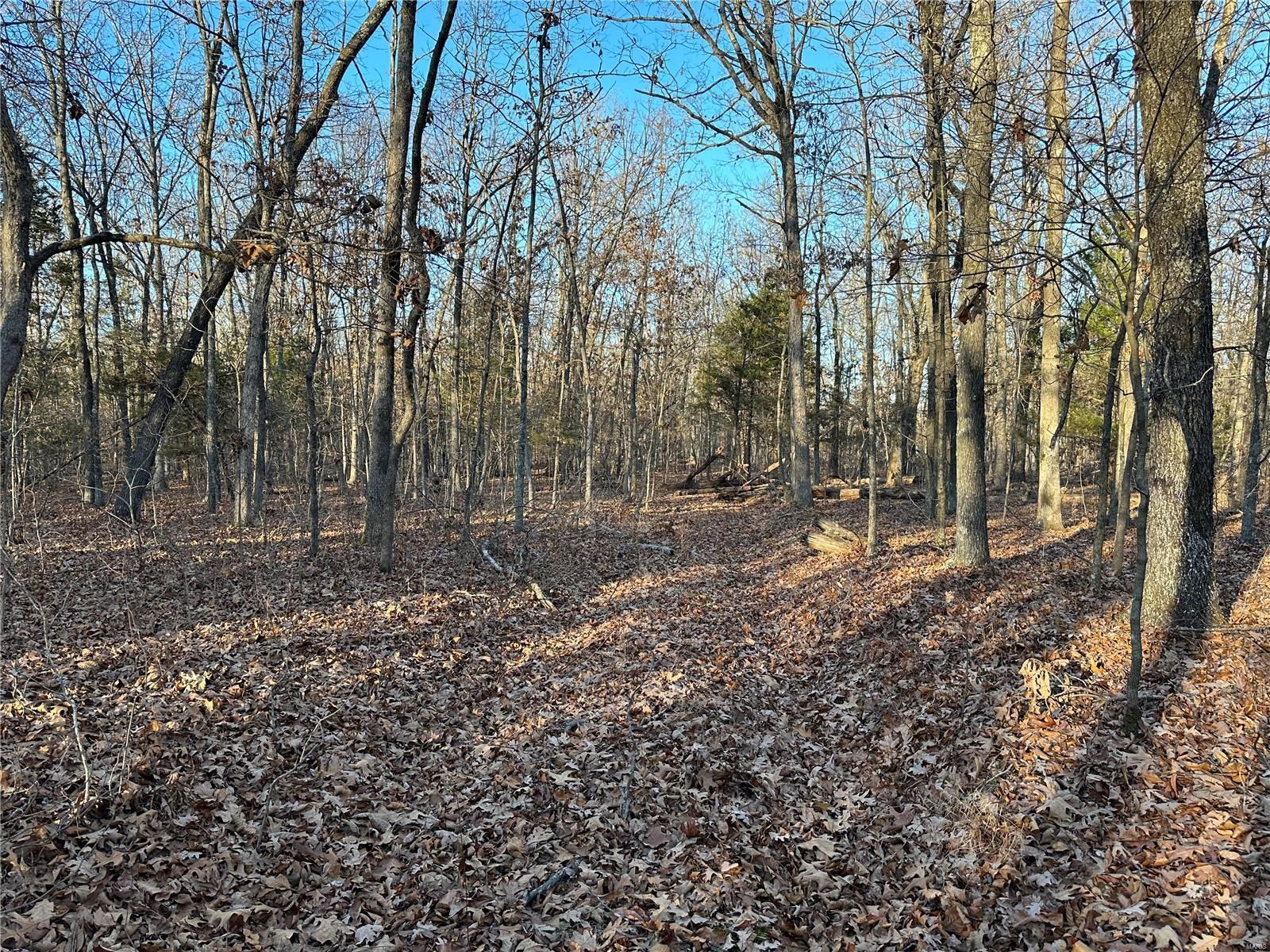 Fredericktown, Madison County, MO Undeveloped Land for sale Property ID