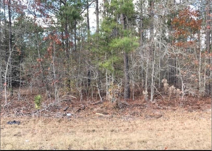 Garfield, Bulloch County, GA for sale Property ID 415091022 LandWatch