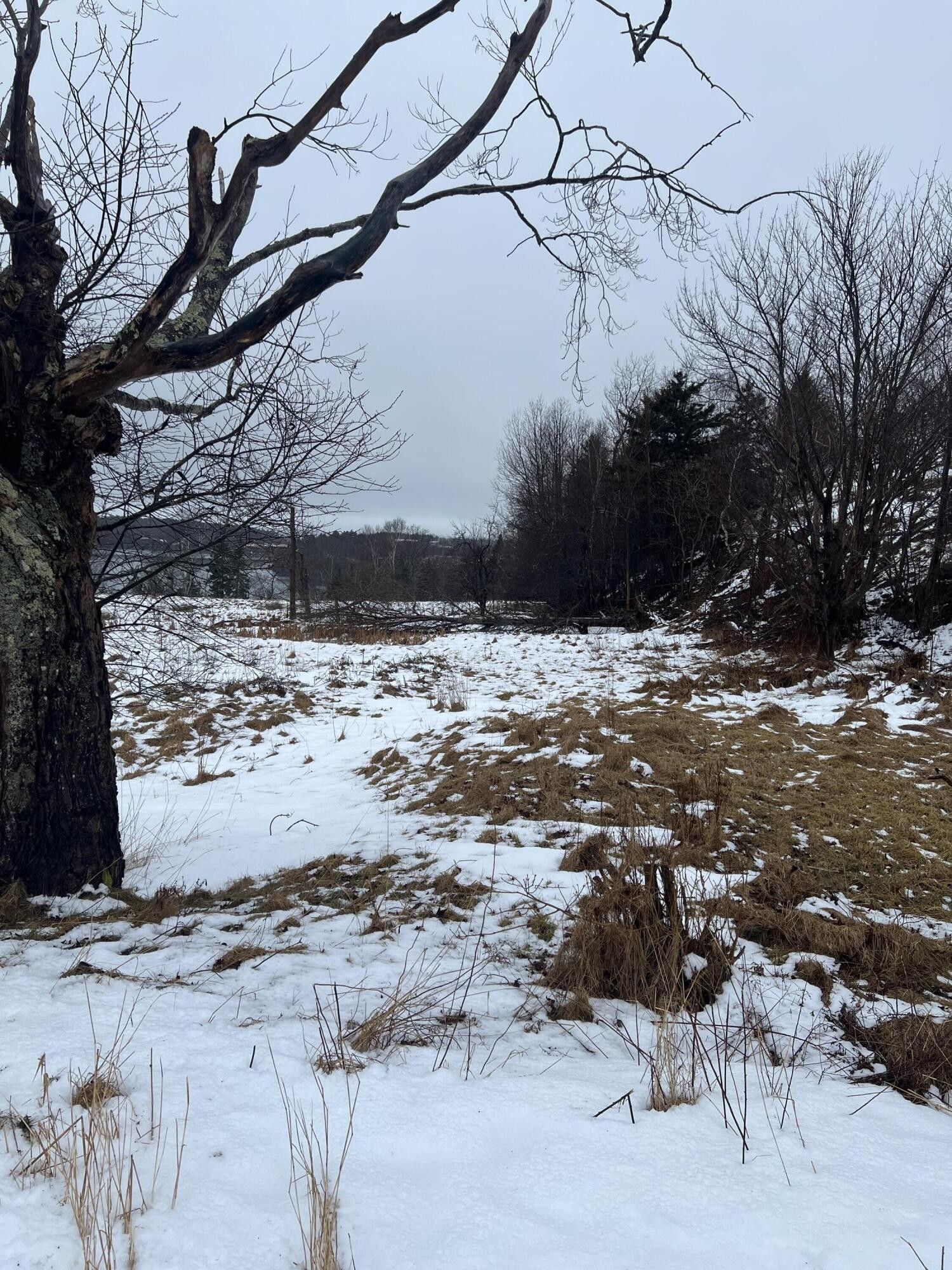 Eastport, Washington County, ME Undeveloped Land, Lakefront Property