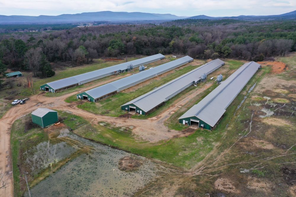 Havana, Yell County, AR Farms and Ranches, Commercial Property for sale