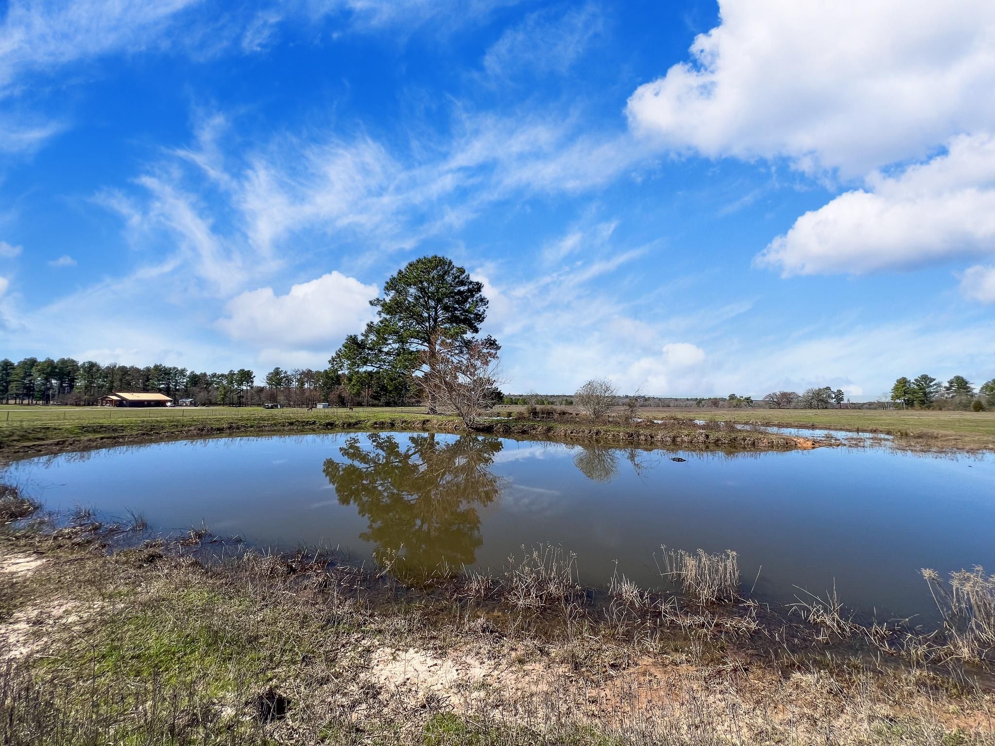 County Road 216, Richards, TX 77873 MLS 20 Acres County Rd 216