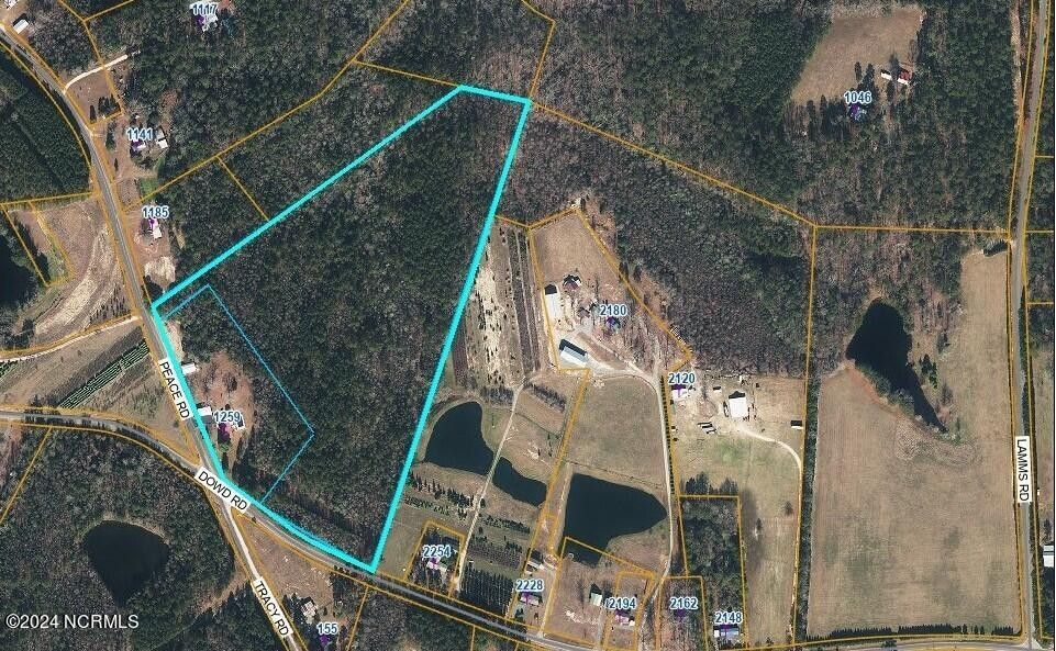 Carthage, Moore County, NC Undeveloped Land for sale Property ID