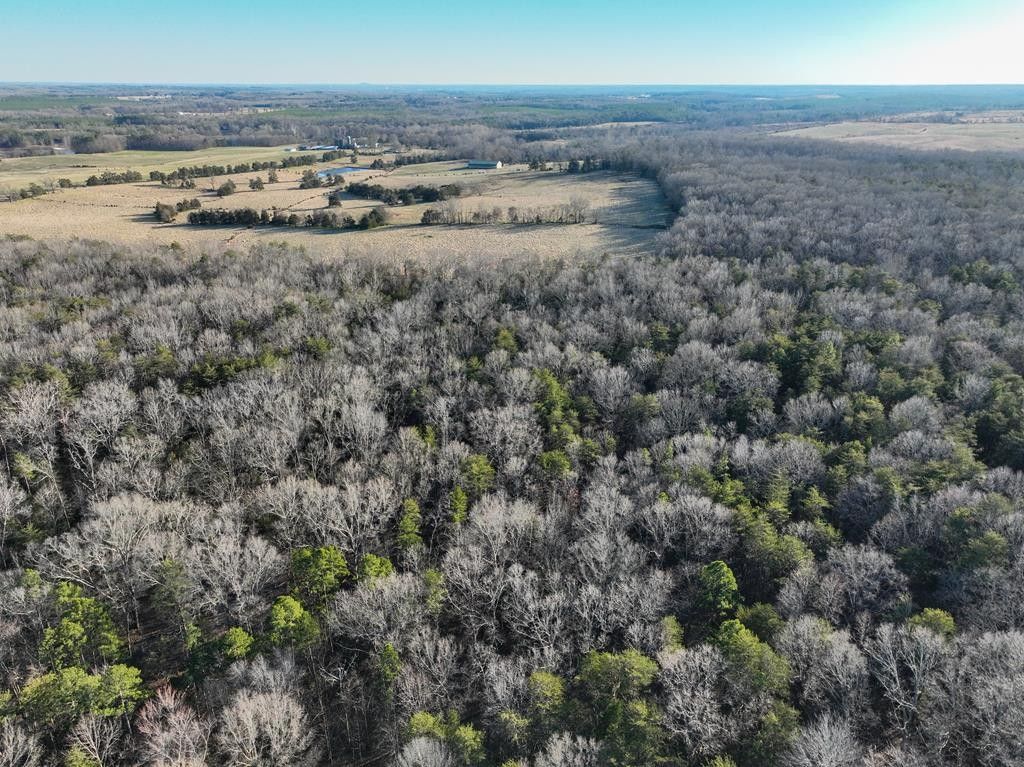 Dillwyn, Buckingham County, VA Undeveloped Land for sale Property ID