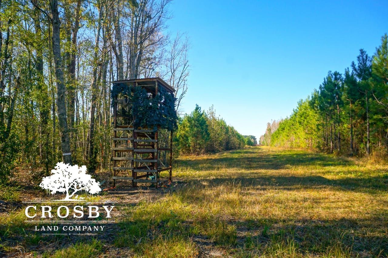 84 acres in Bowman, SC, 29018 LandWatch