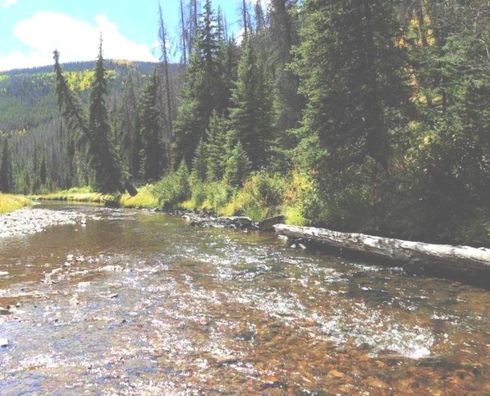 Finance MiningClaim Ownership, Rand, CO 80473 LandWatch